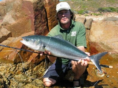 Австралийский лосось фото