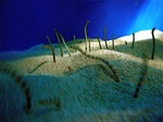 Тихоокеанские червовидные бычки на песке